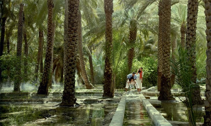 Al Ain Oasis - zdjęcie 1