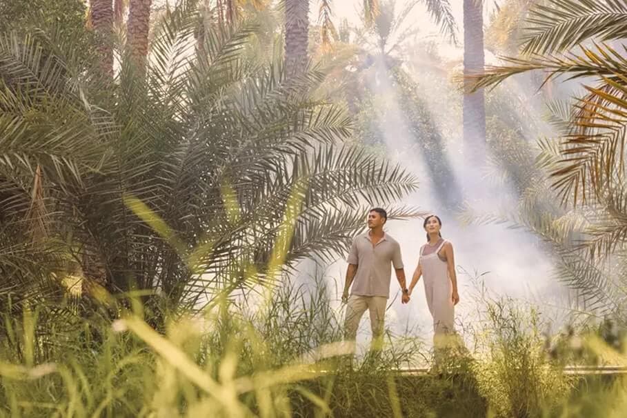 Al Ain Oasis - zdjęcie 2