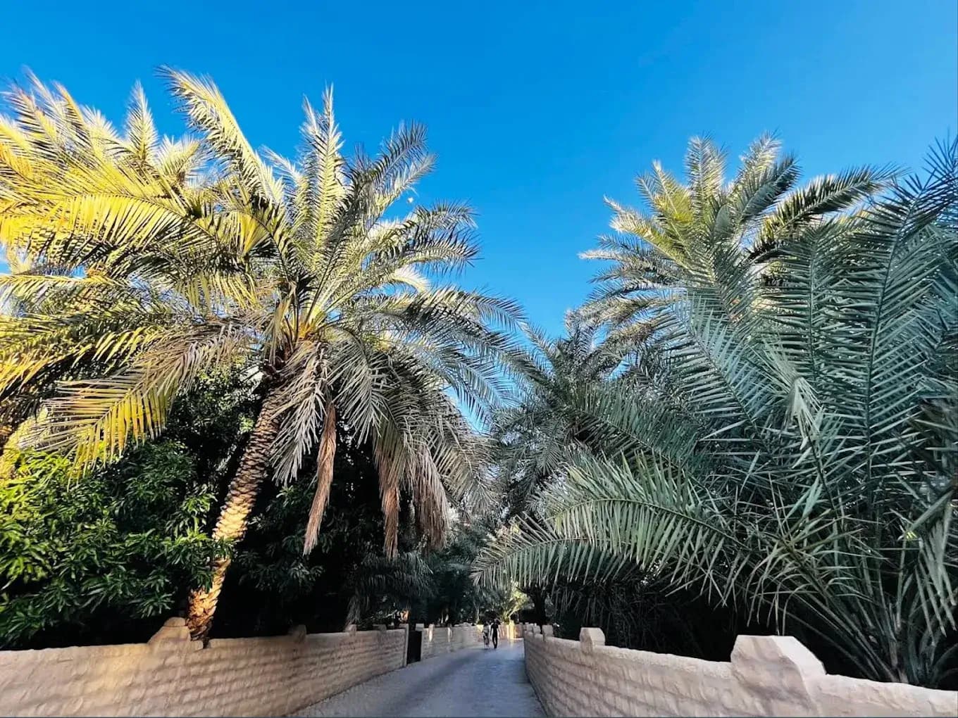 Al Ain Oasis - zdjęcie 4