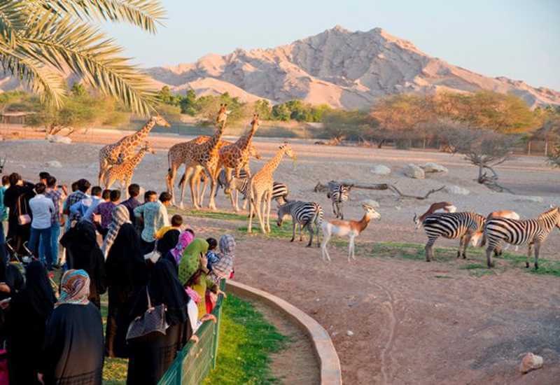 Al Ain Zoo - zdjęcie 2
