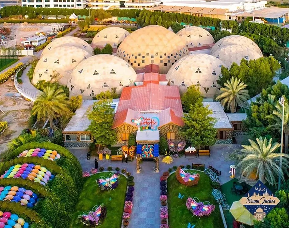 Dubai Butterfly Garden - zdjęcie 2