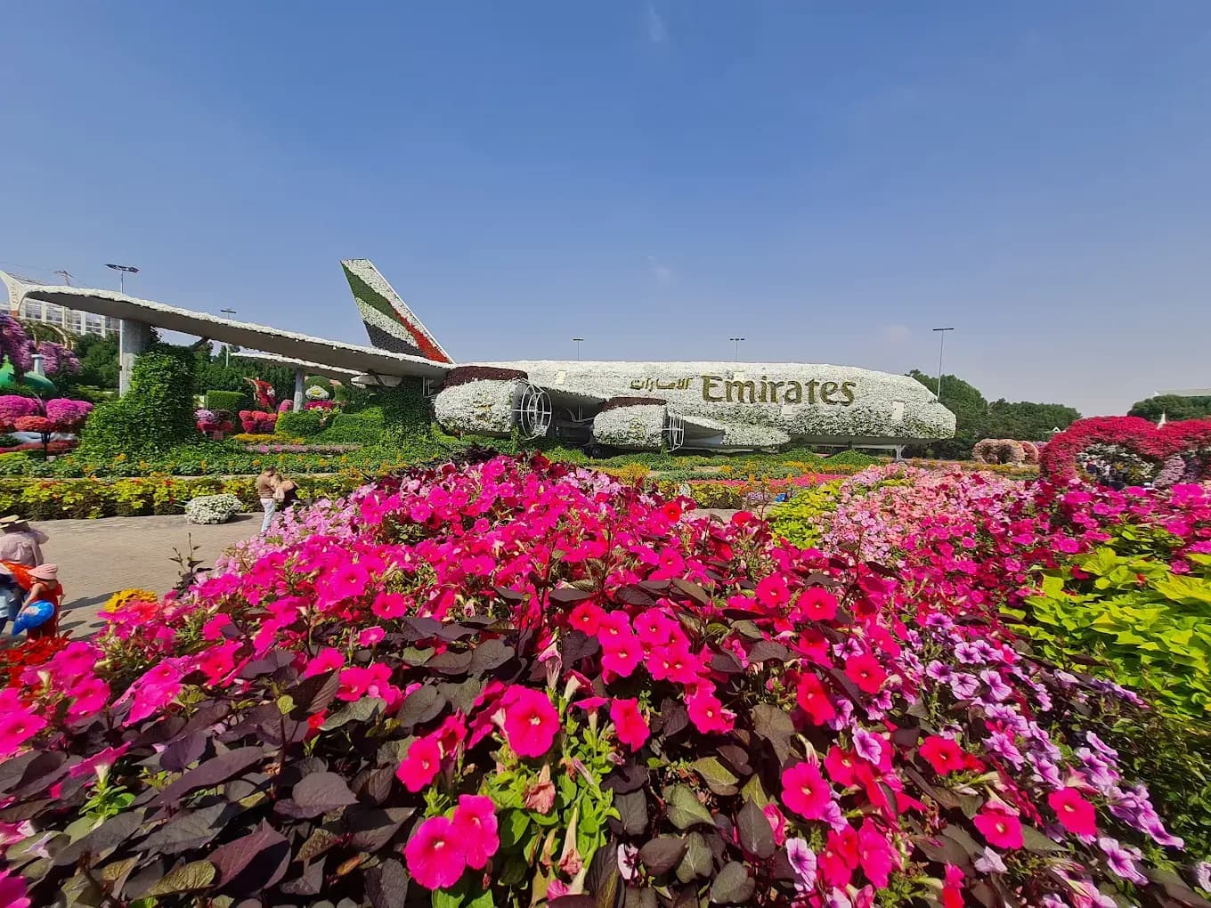 Dubai Butterfly Garden - planowanie podróży