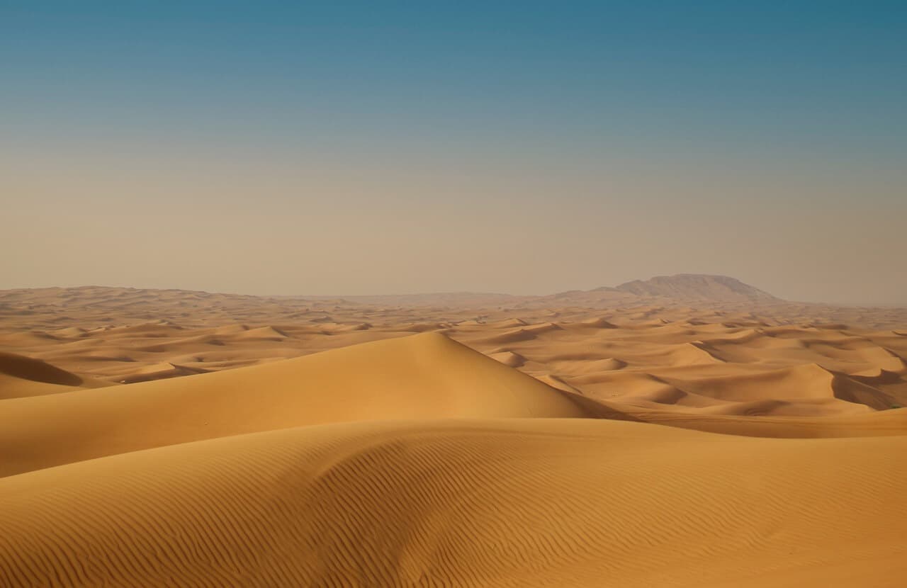 Dubai Desert Conservation Reserve - zdjęcie 3