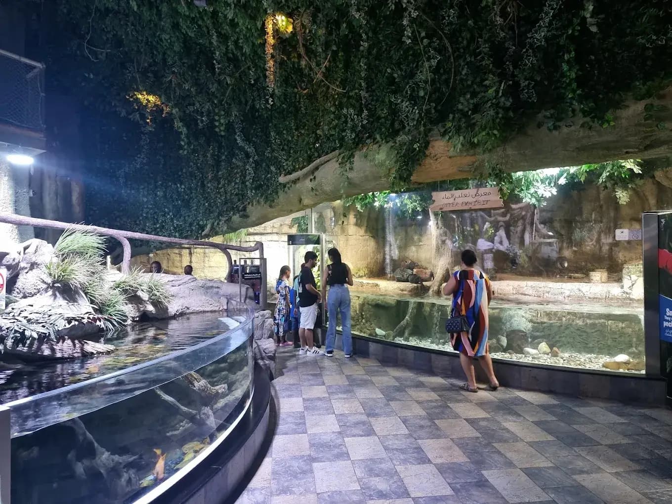 Dubai Aquarium & Underwater Zoo - zdjęcie 1