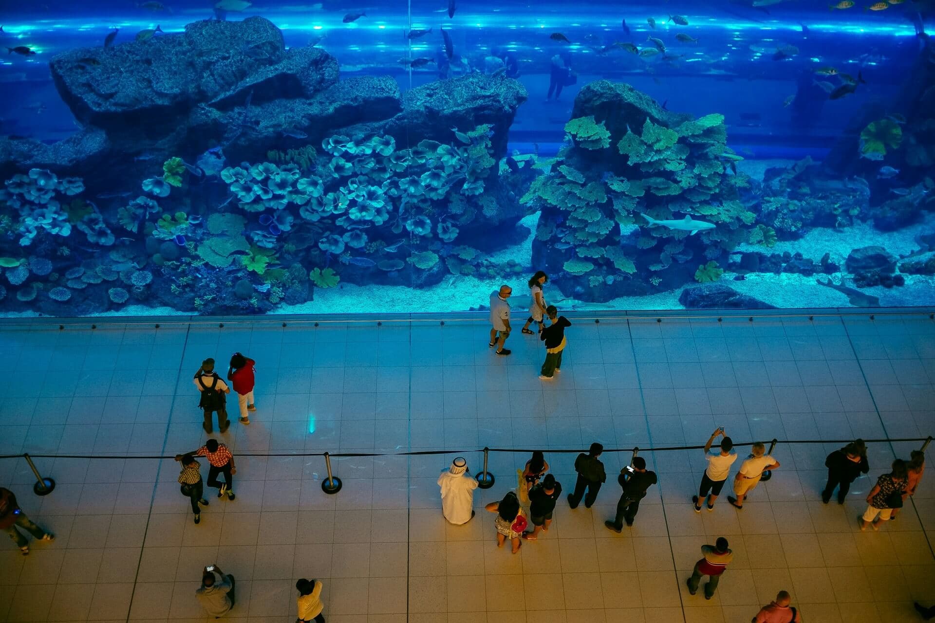 Dubai Mall - zdjęcie 4