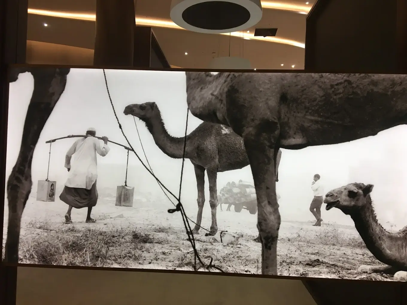 Etihad Museum - zdjęcie 2