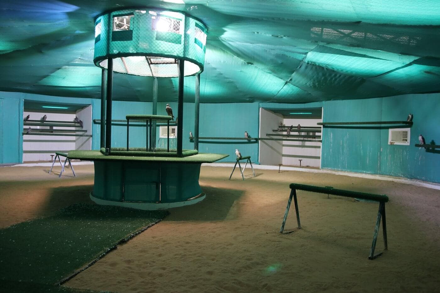 Abu Dhabi Falcon Hospital - zdjęcie 1