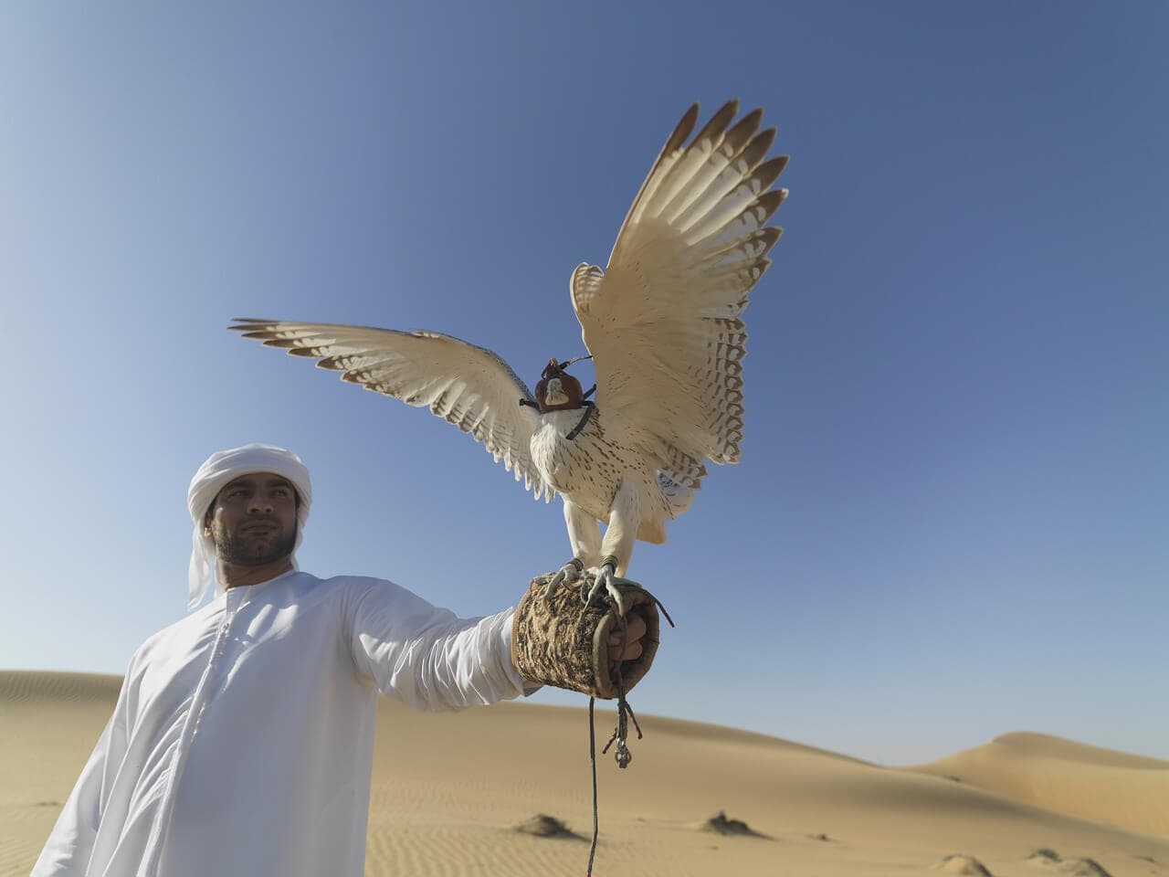 Abu Dhabi Falcon Hospital - zdjęcie 7