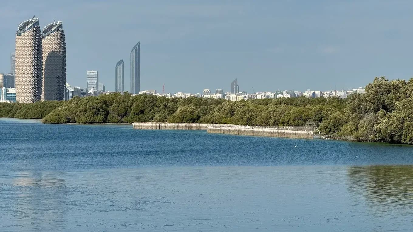 Mangrove National Park - zdjęcie 3