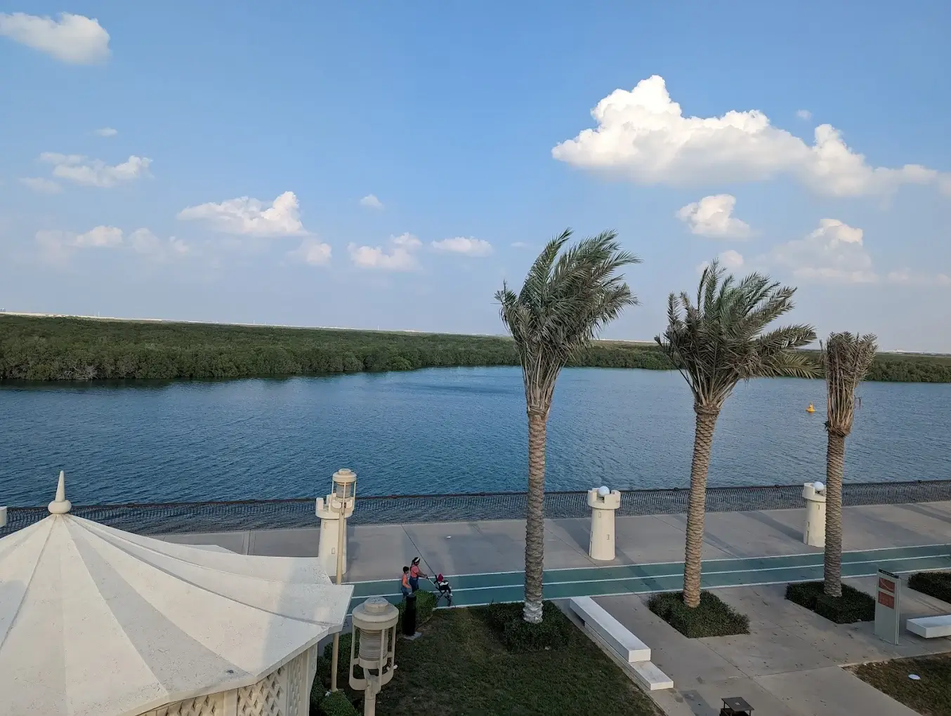 Mangrove National Park - zdjęcie 4