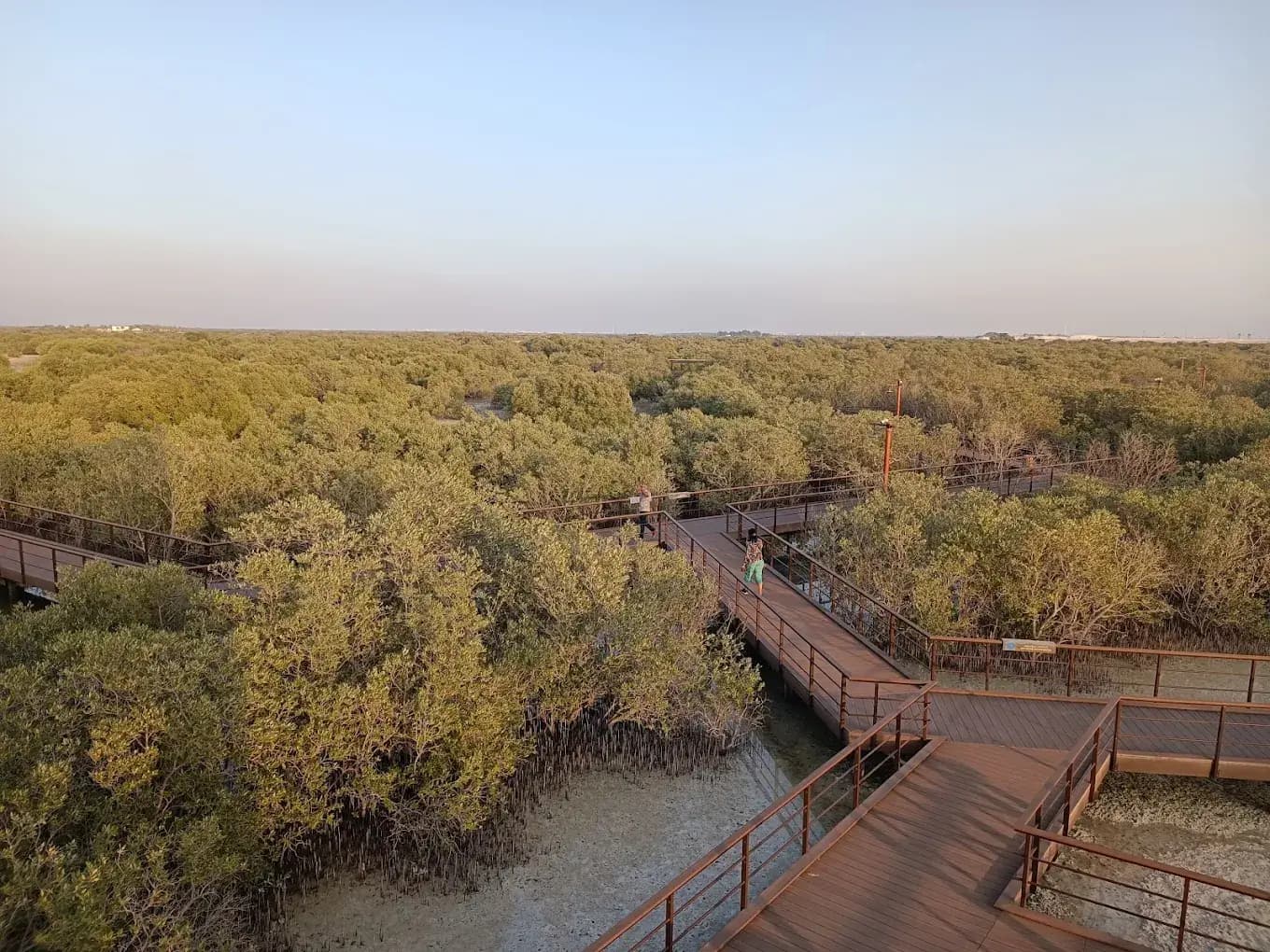 Mangrove National Park - zdjęcie 6