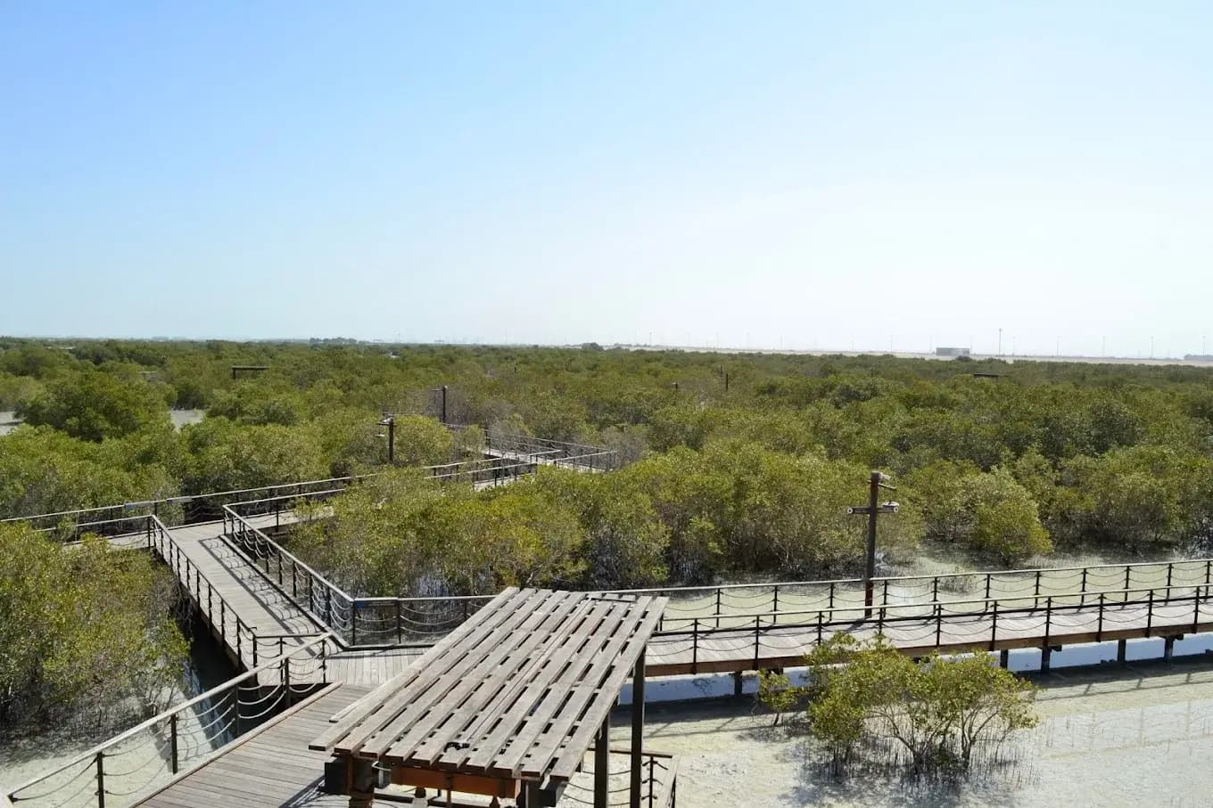 Mangrove National Park - zdjęcie 7