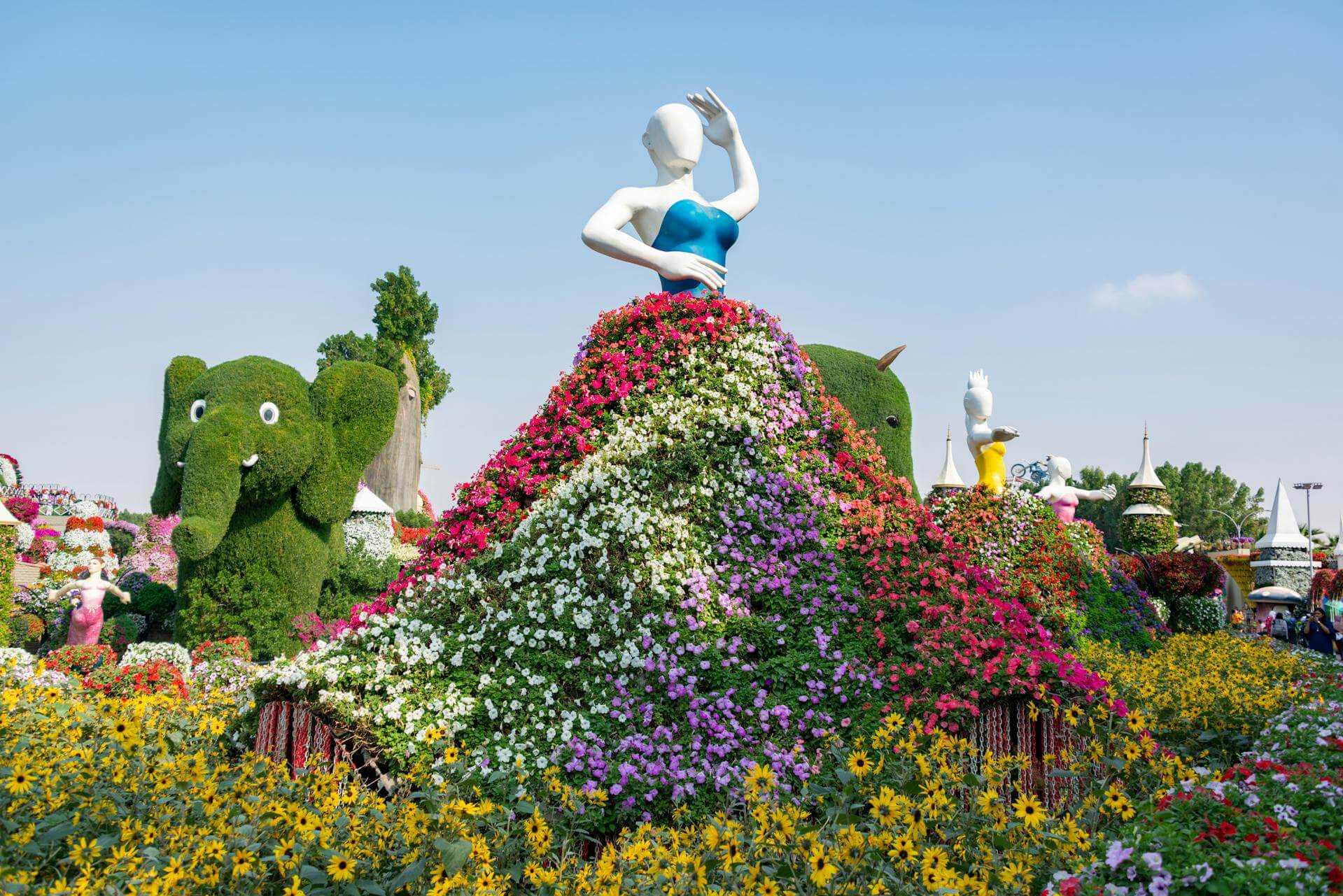 Miracle Garden - zdjęcie 1
