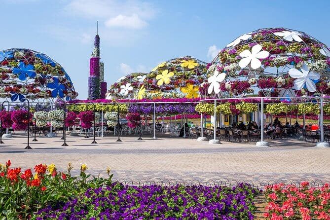 Miracle Garden - zdjęcie 7