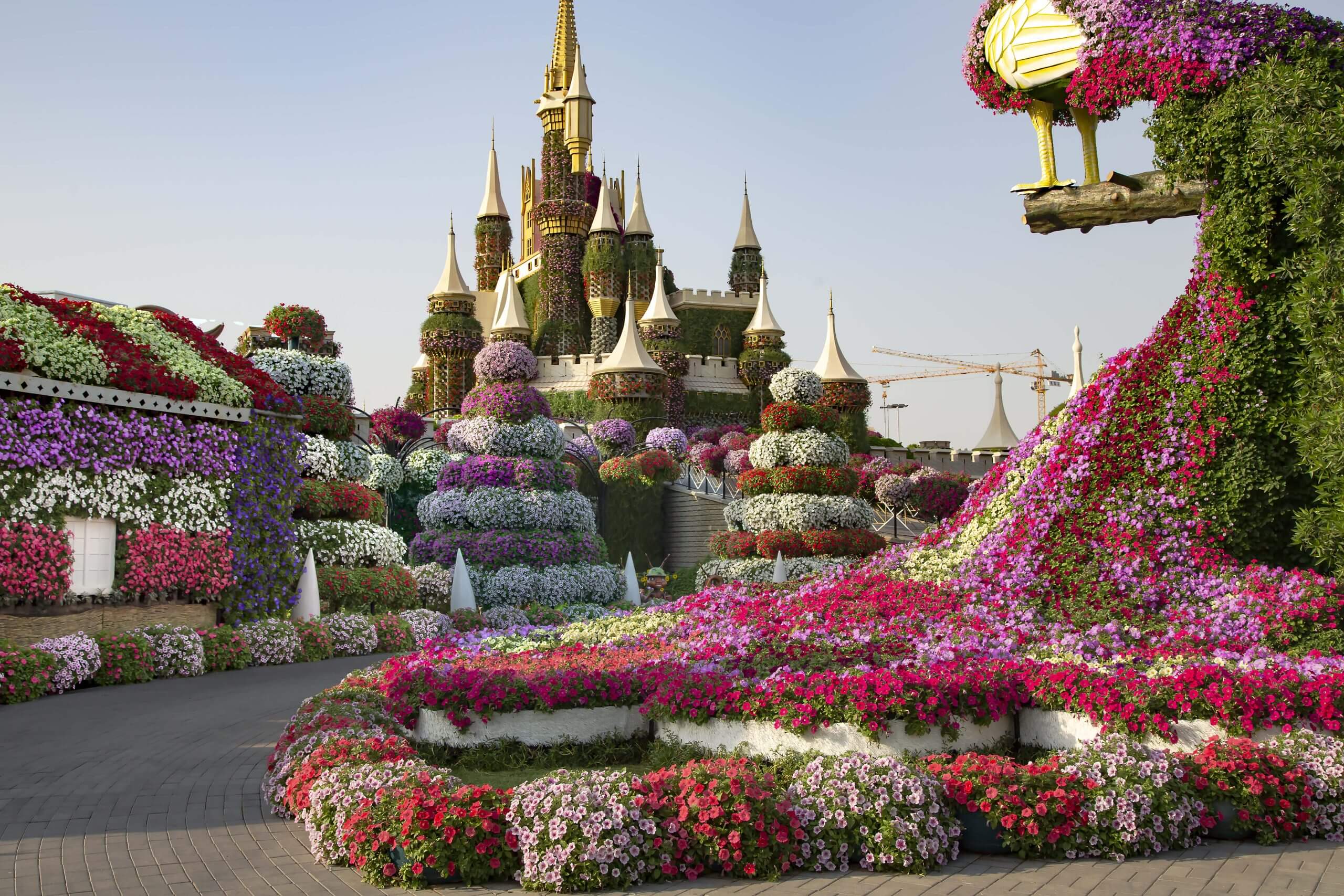 Miracle Garden - zdjęcie 8