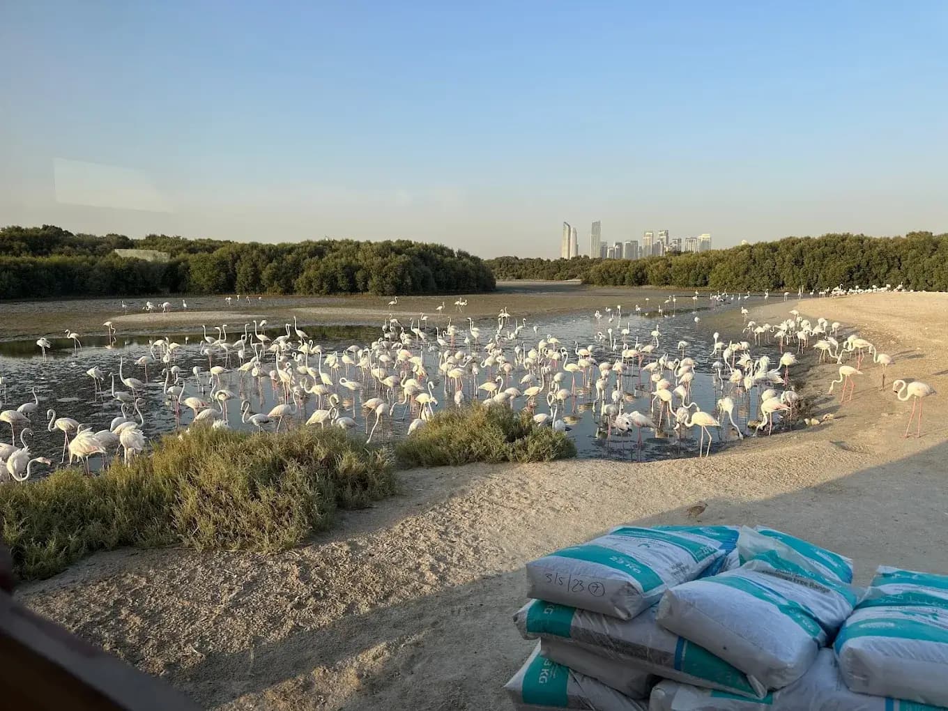 Ras Al Khor Wildlife Sanctuary - zdjęcie 4