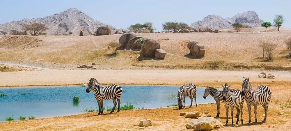 Al Ain Zoo