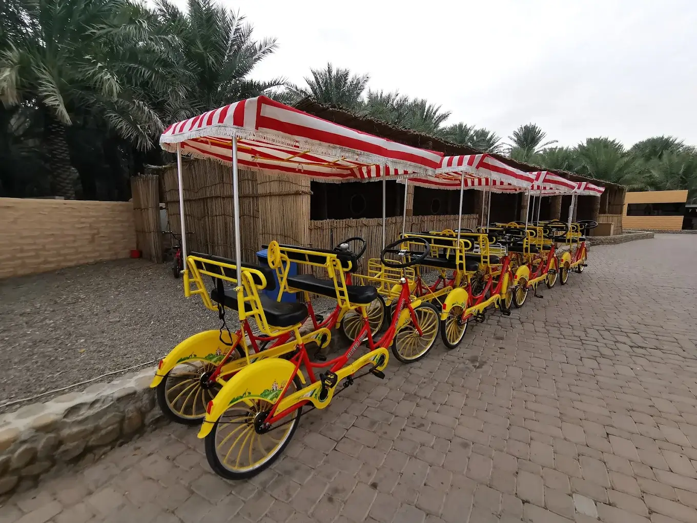 Al Ain Oasis - galeria 5