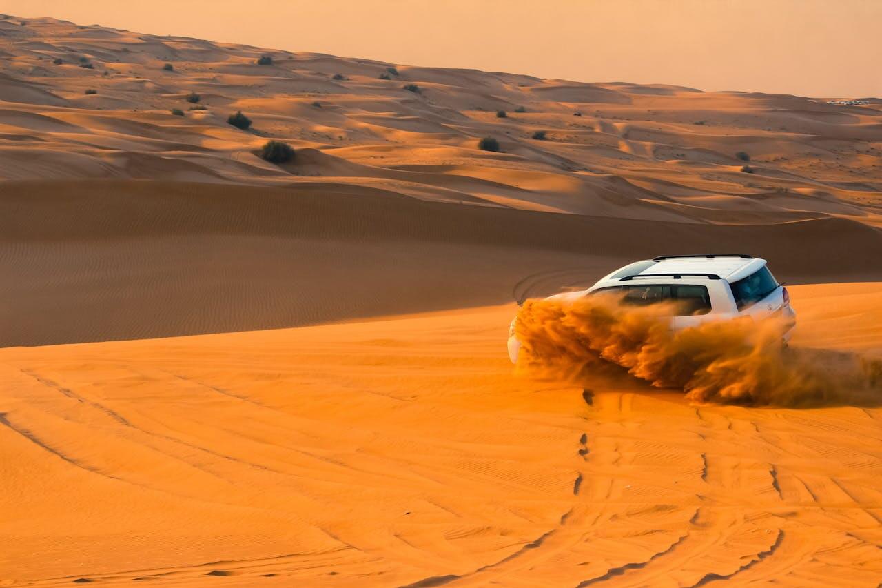 Pustynne safari