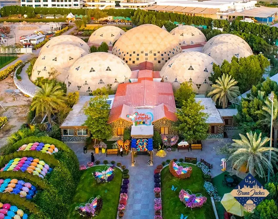 Dubai Butterfly Garden - galeria 2