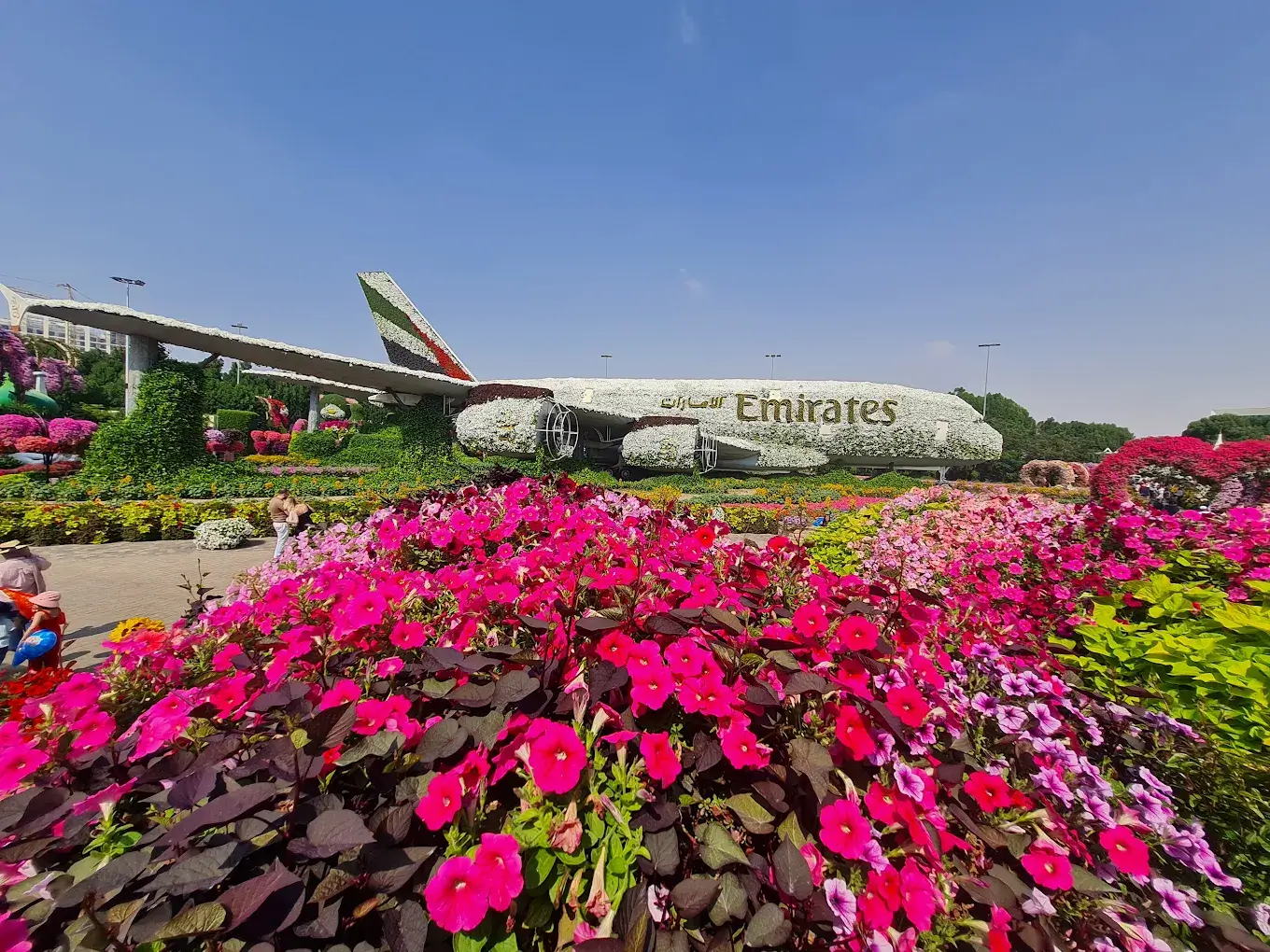 Dubai Butterfly Garden