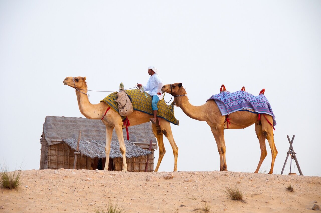 Dubai Desert Conservation Reserve - galeria 4