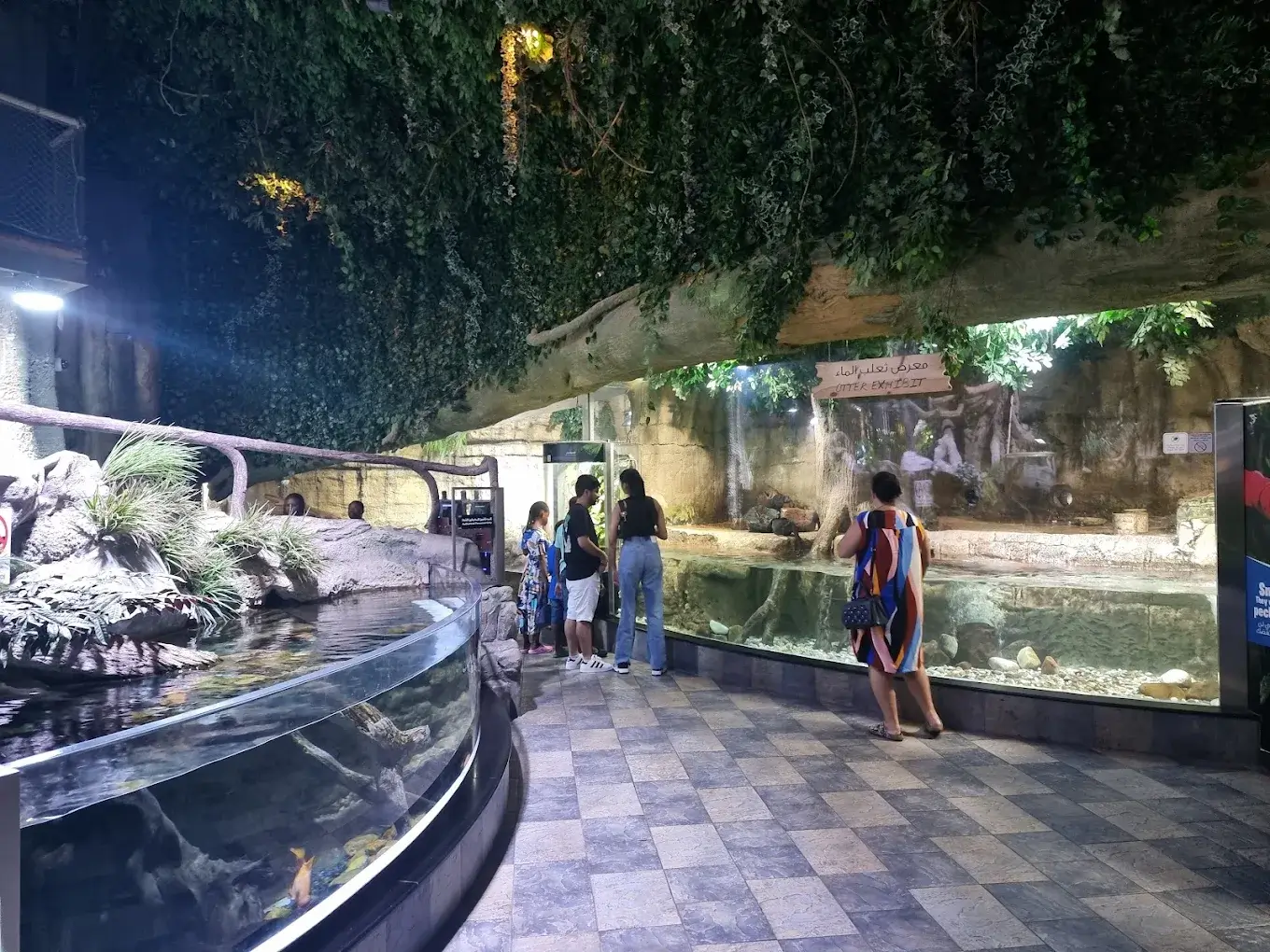 Dubai Aquarium & Underwater Zoo - galeria 1