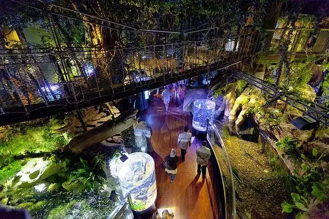 Dubai Aquarium & Underwater Zoo - galeria 2