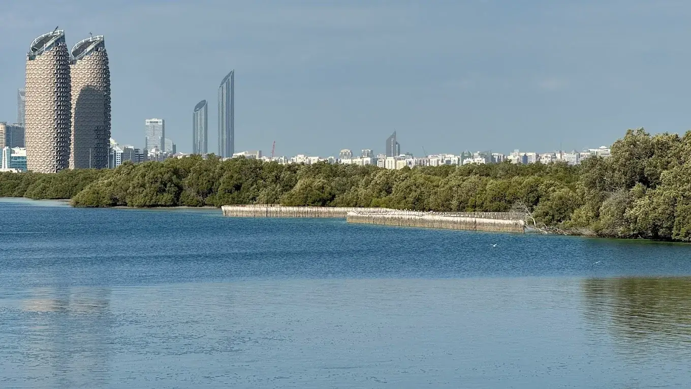 Mangrove National Park - galeria 3