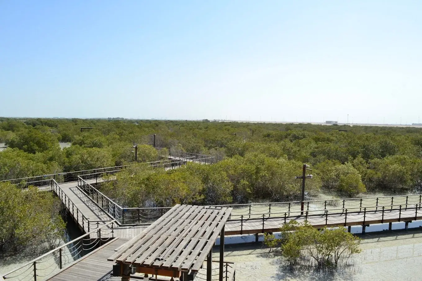 Mangrove National Park - galeria 7