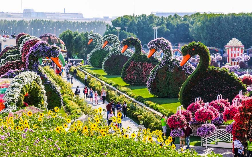 Miracle Garden - galeria 4