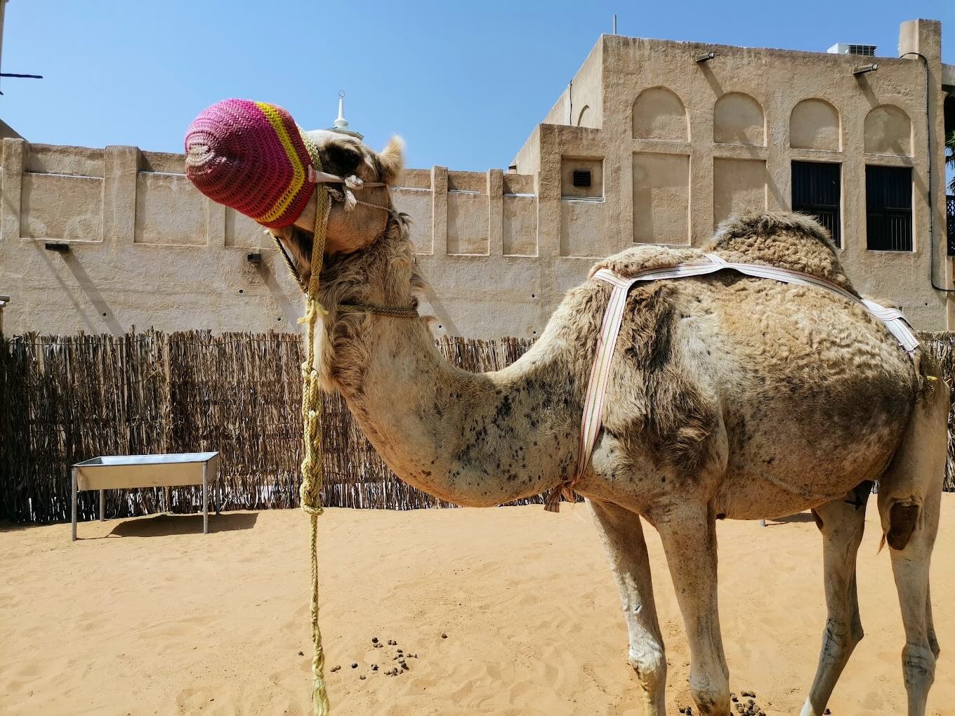 Sheikh Mohammed Centre - galeria 4